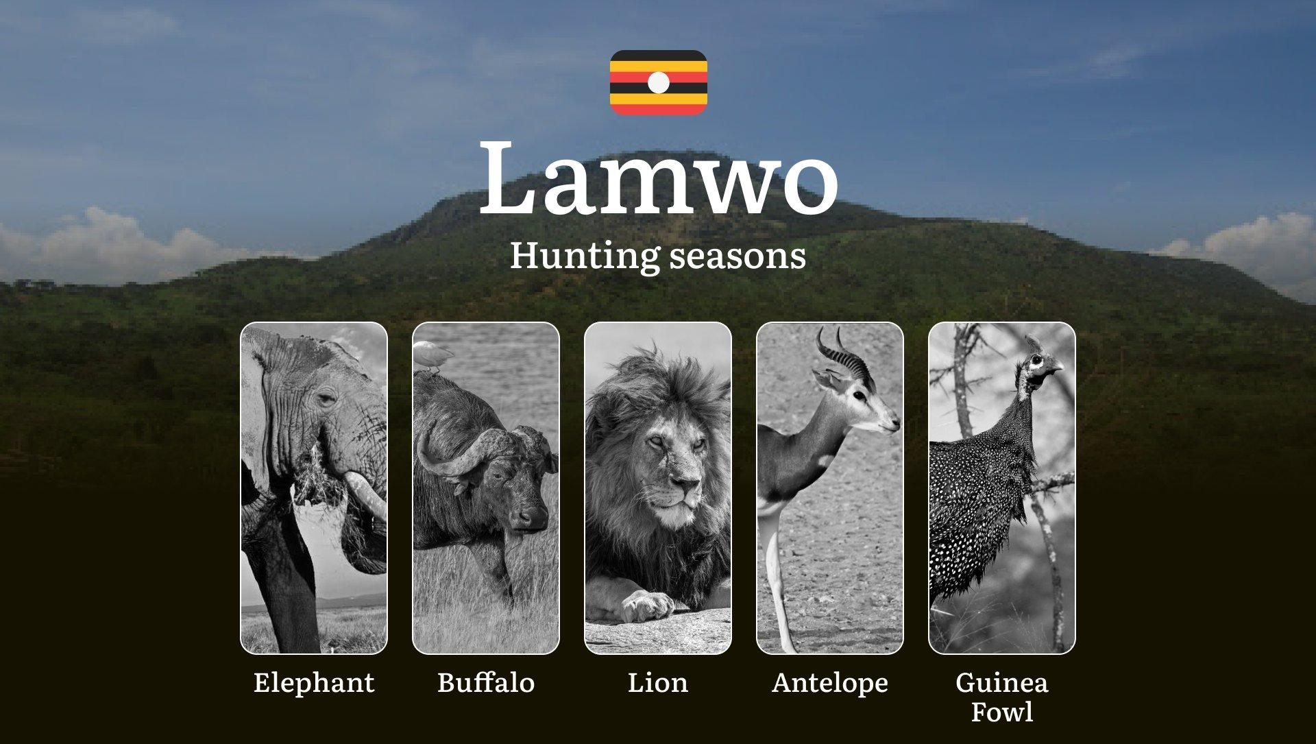 Hunting Season Dates in Lamwo: Regulatory Caps and Seasonal Closures, License Requirements, Penalties and Legal Outcomes for Infractions, Strategic Planning, Best Timing, Equipment Selection