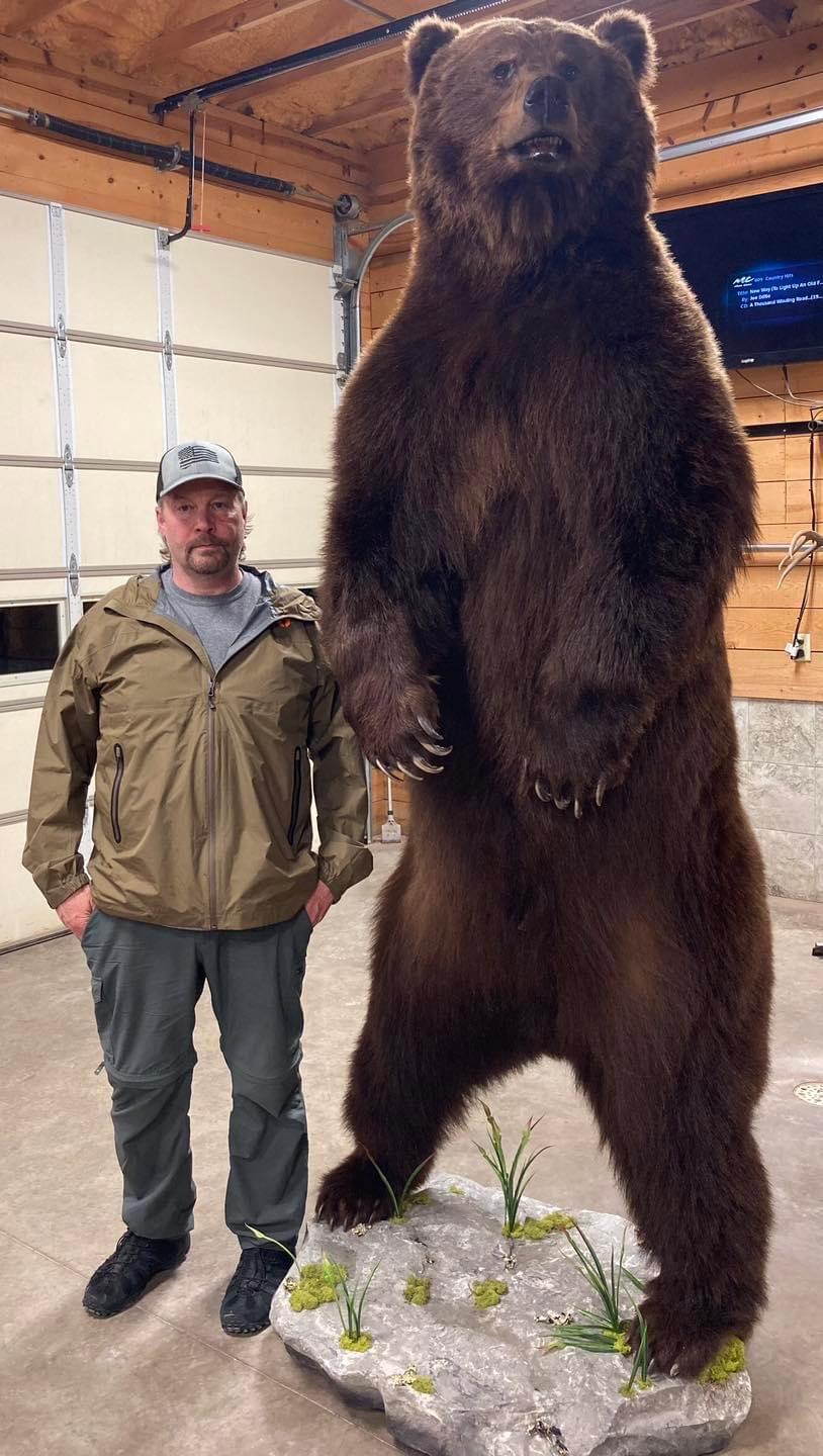 Last minute opening for Alaska brown bear hunt.
