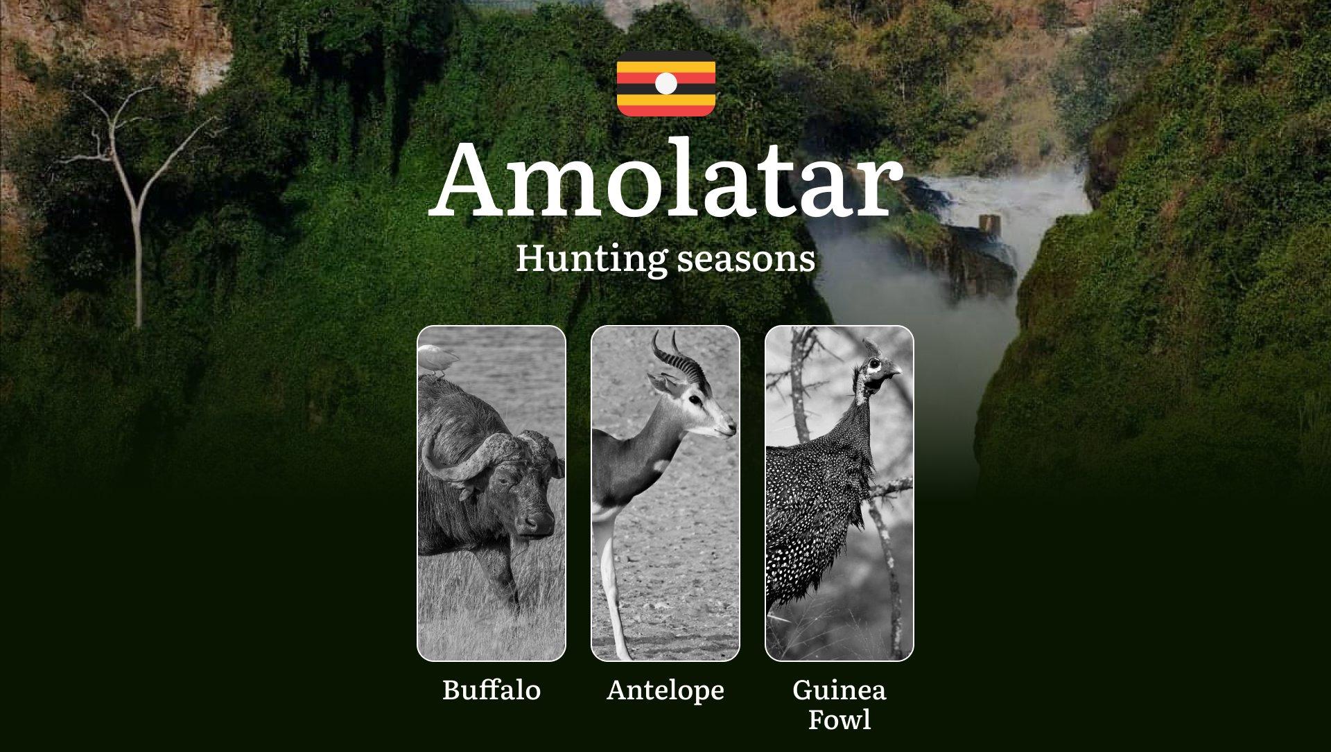Hunting Date Ranges in Amolatar: Hunting Periods, Legal Limits and Seasonal Bans, Licensing Rules, Fines and Consequences, Strategic Planning, Timing, Equipment 
