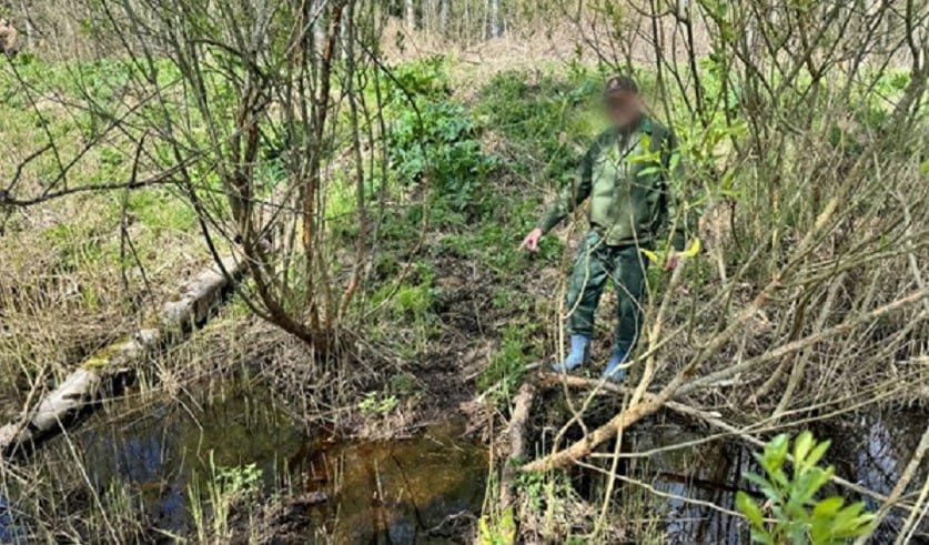 В Ушачском районе возбуждено уголовное дело о незаконной охоте
