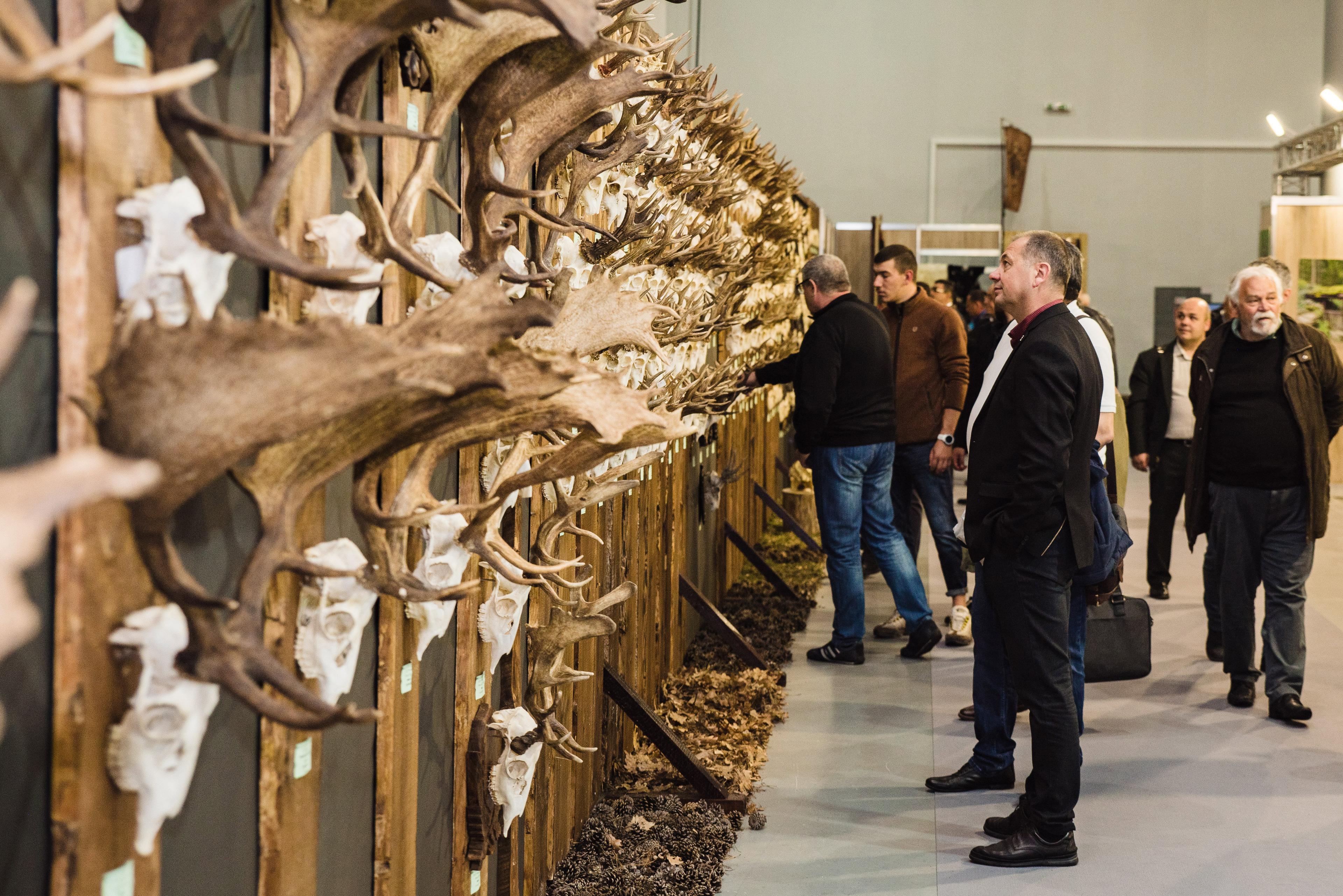 🌿 NATURE, HUNTING, FISHING, TOURISM-SPORT 2025
