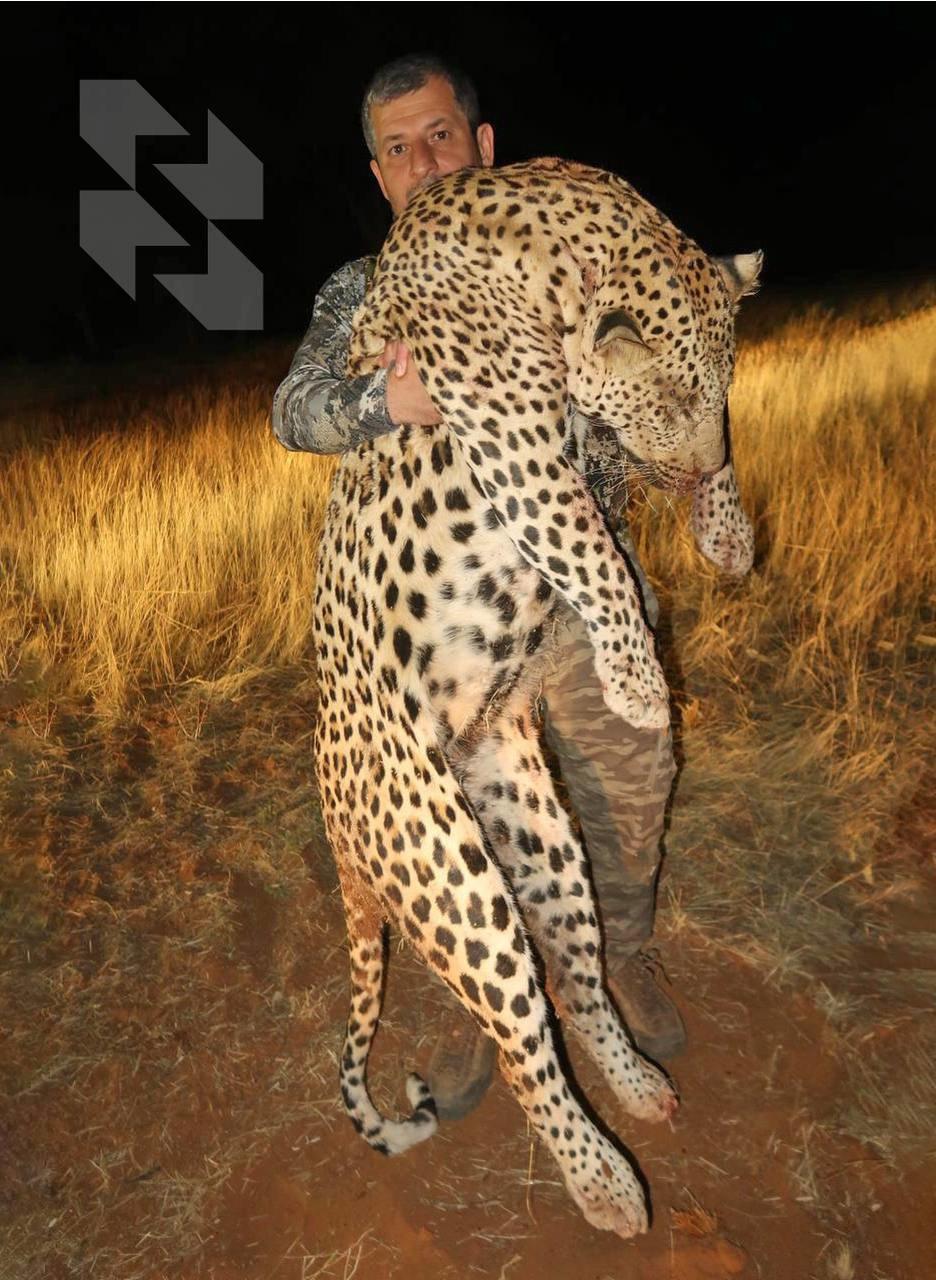 🐆 Lov na leoparde - rubrika "pitanja i odgovori" ⁉️