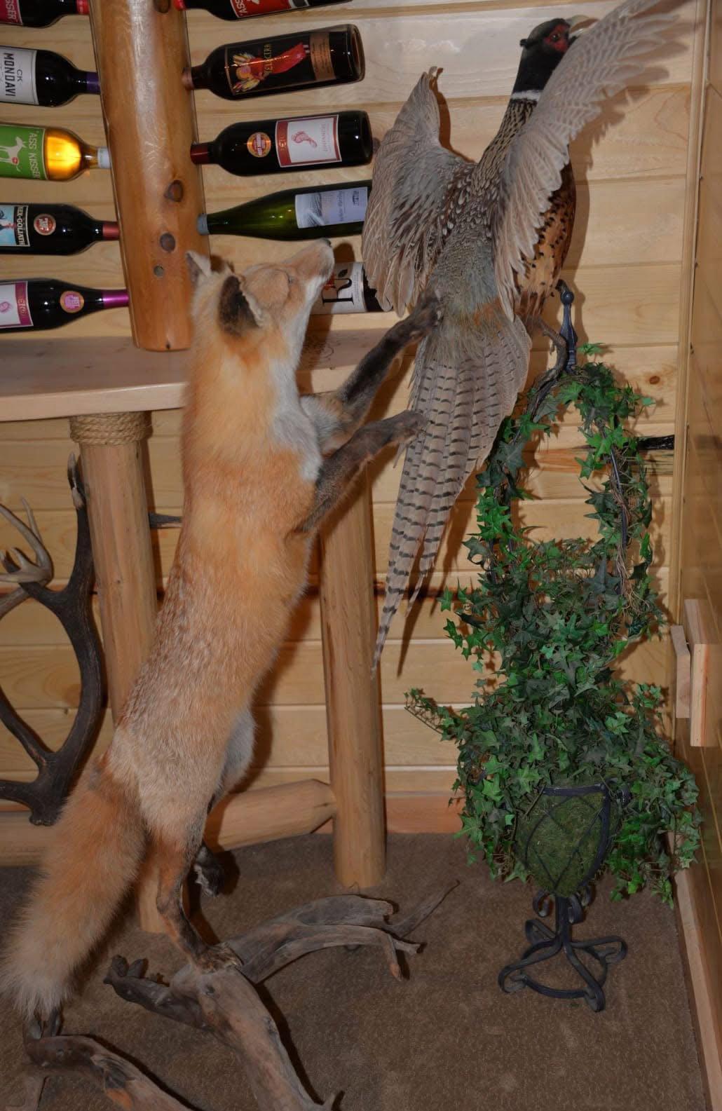 Mounts for sale in Northern Wisconsin pm me for more (details) 