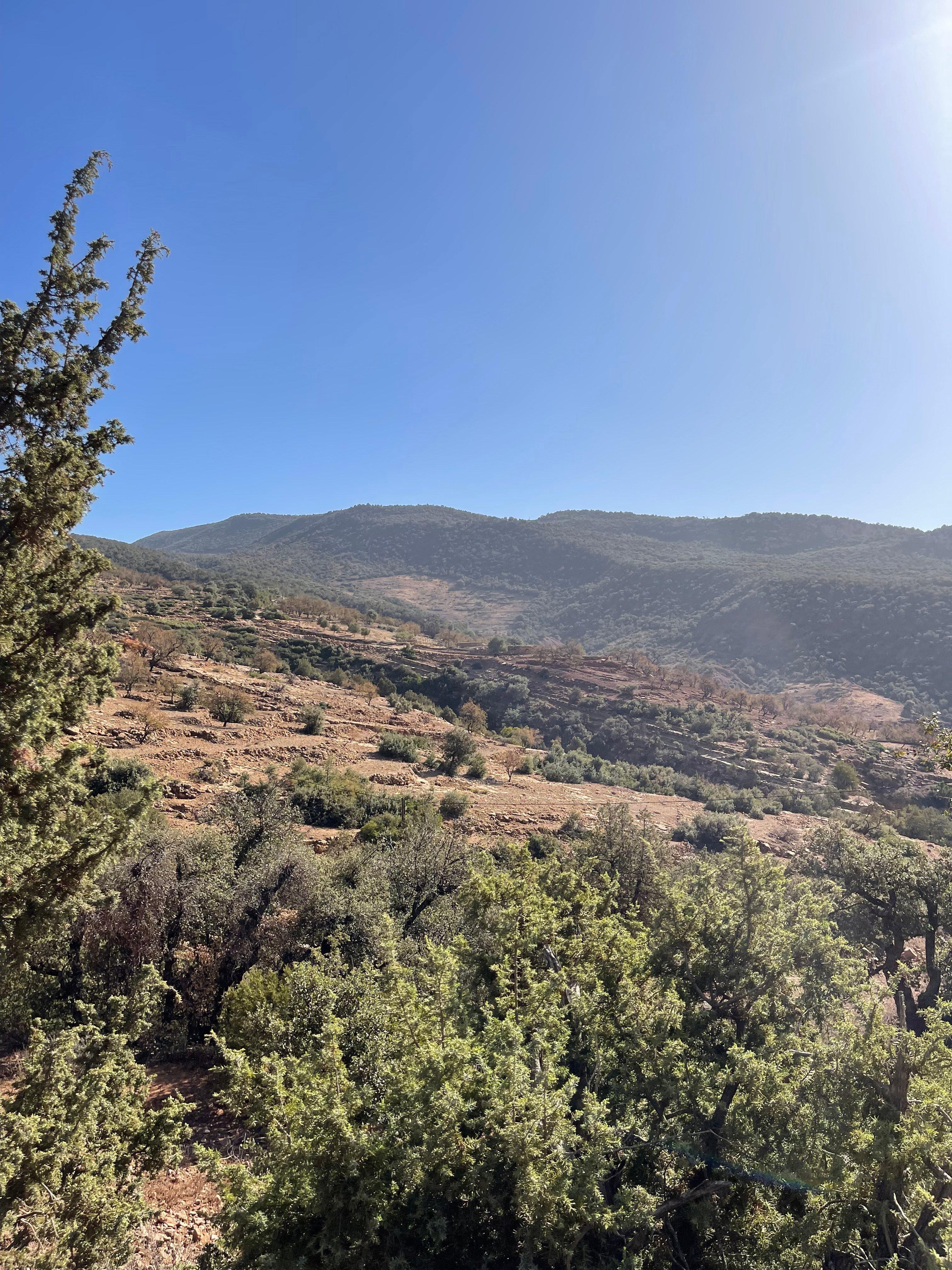The Ultimate Guide to Partridge Hunting in the Mountains of Morocco