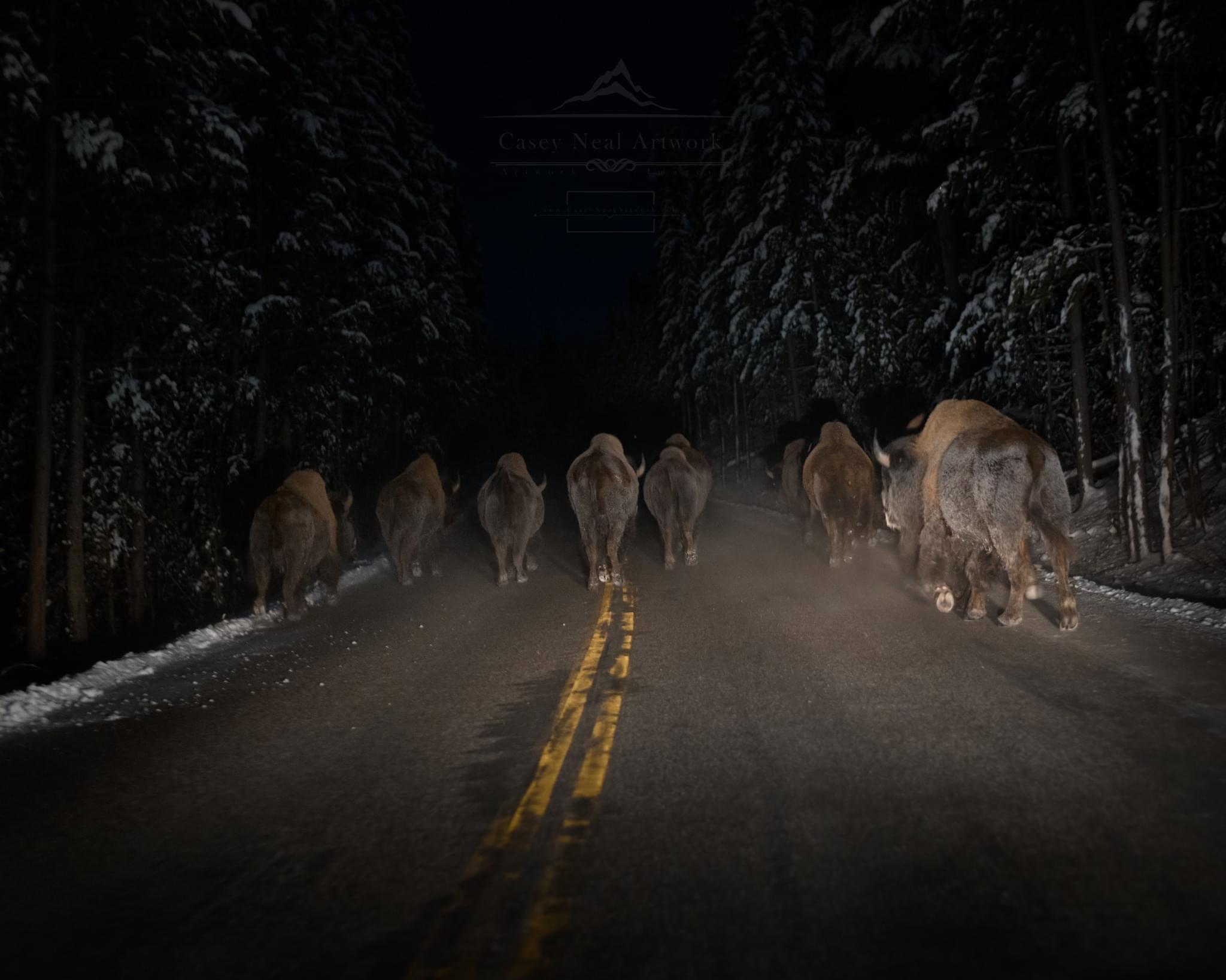 The Yellowstone Travelers,