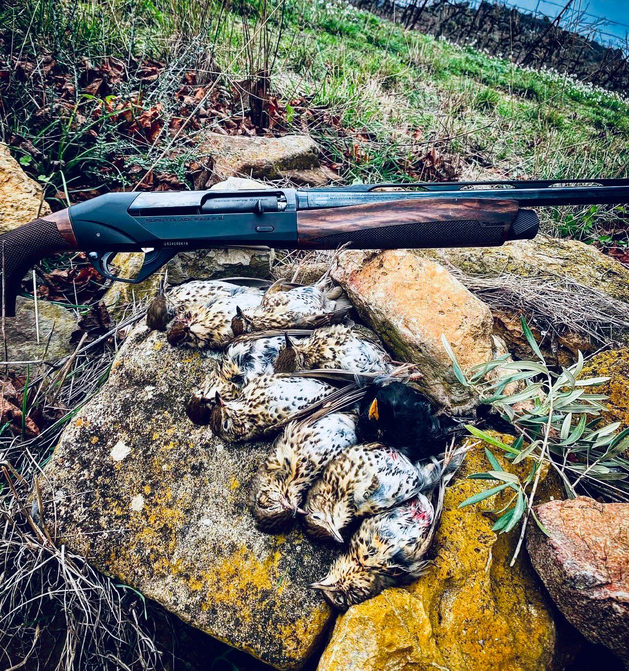 Benelli Super Black Eagle 3 BEST Shotgun Review: Specs, Price, Hunting Use, Accessories & Real-World Performance.