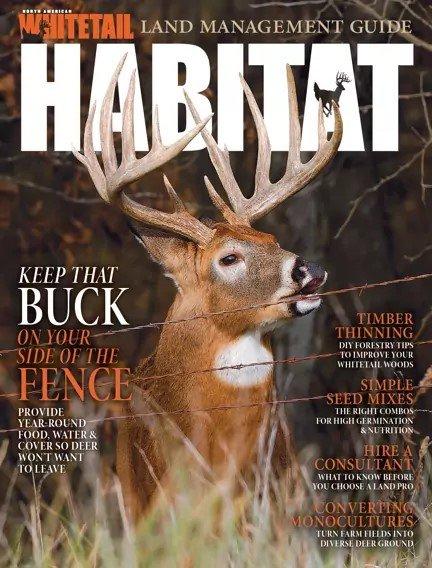 North American Whitetail