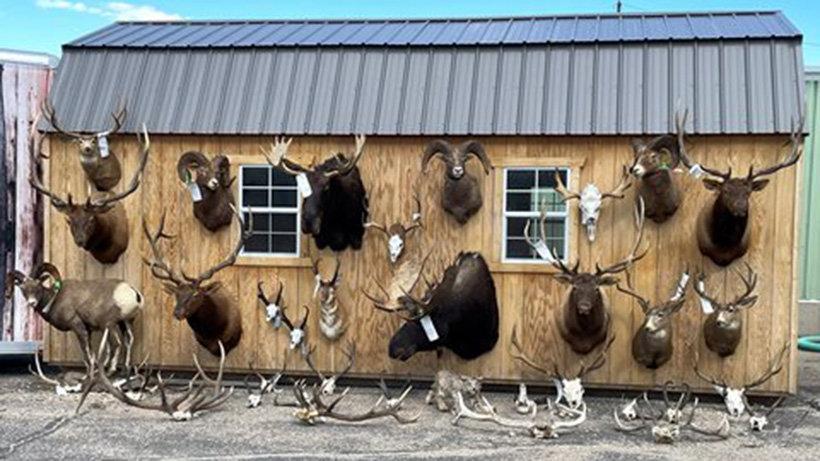 Wyoming closes largest poaching case in state history