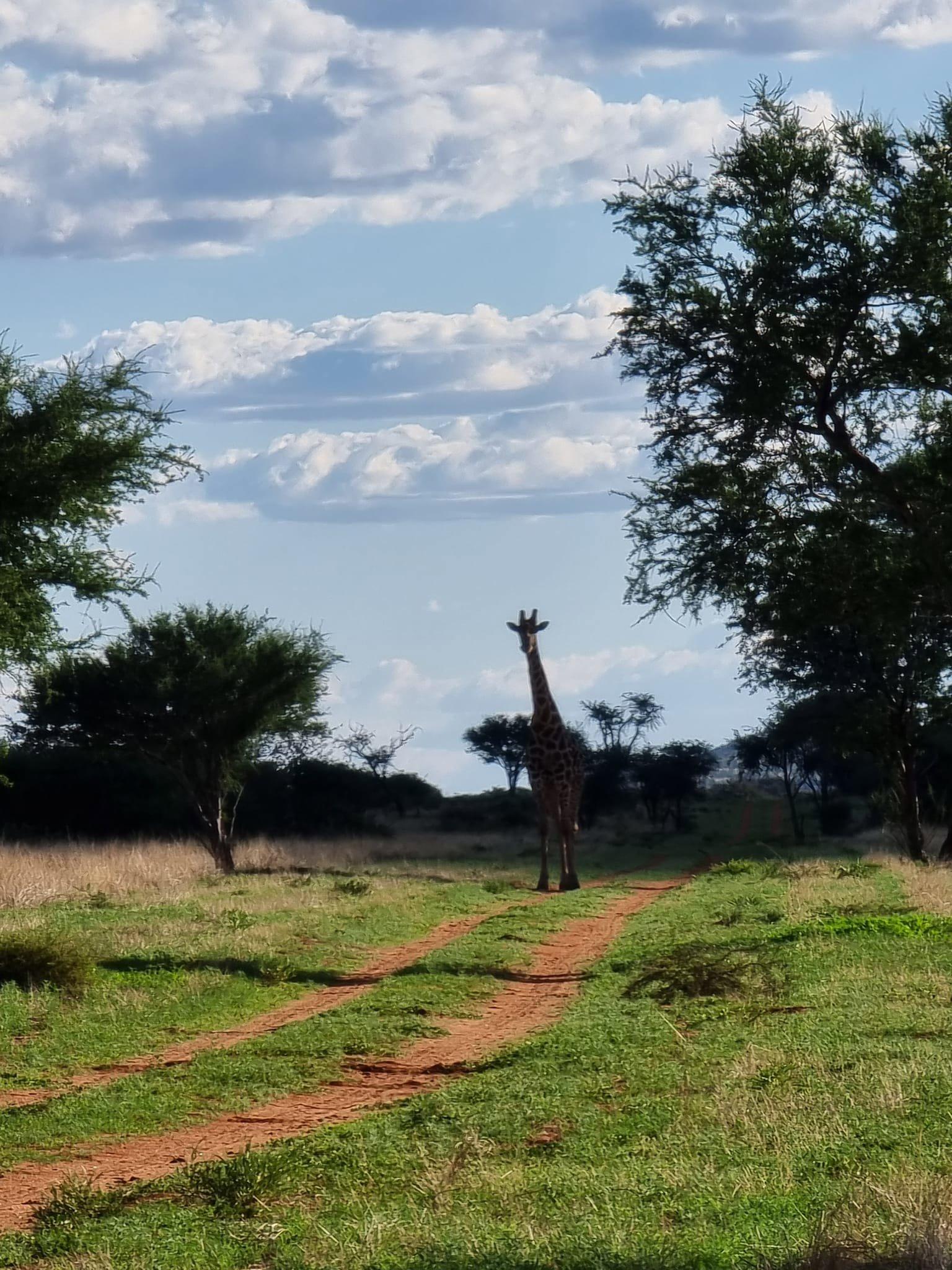 Checking some areas in the mountains for Leopard Tracks.