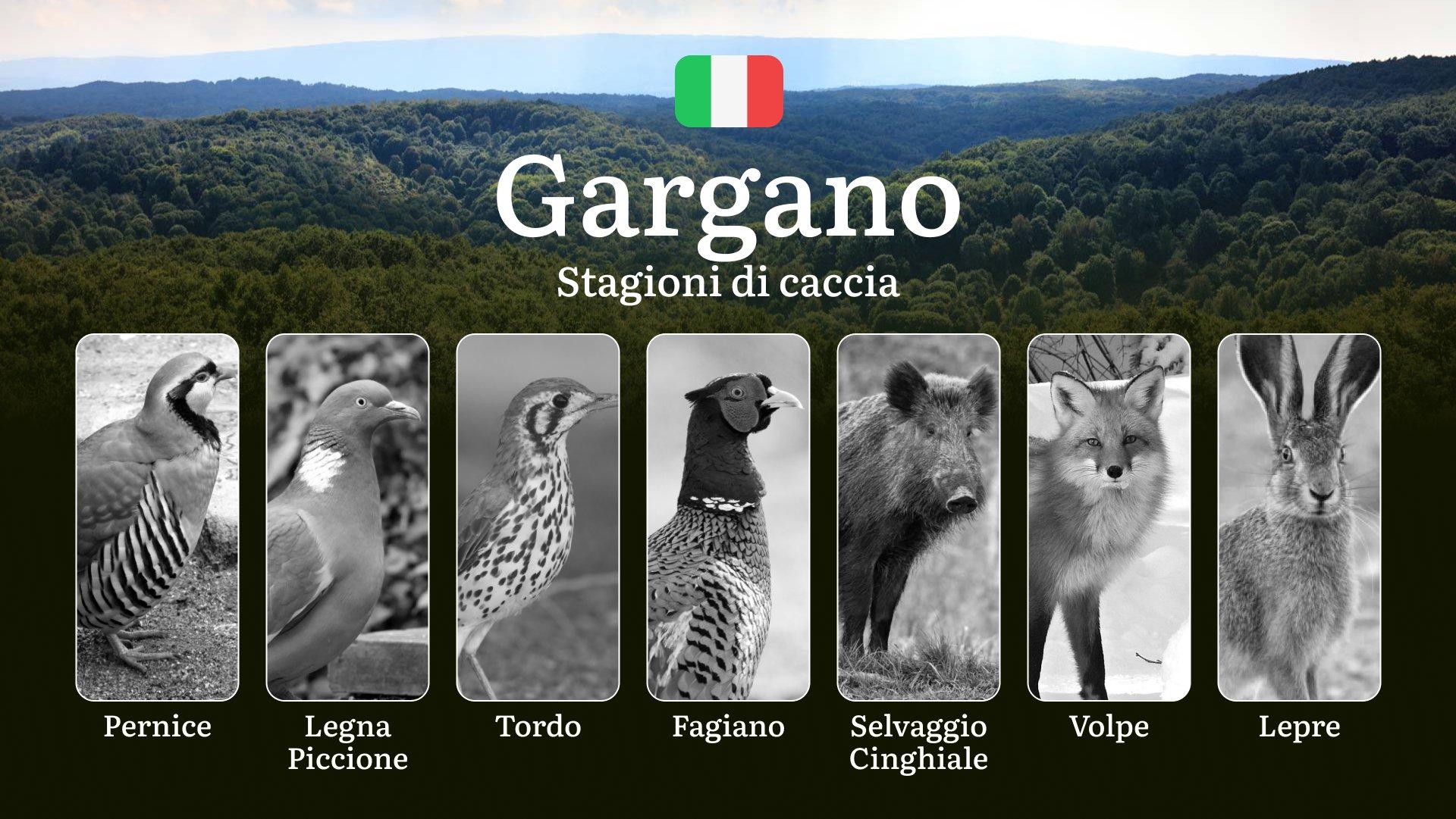 Quando Cacciare nel Gargano: Aperture, Chiusure e Zone Migliori per una Caccia Responsabile