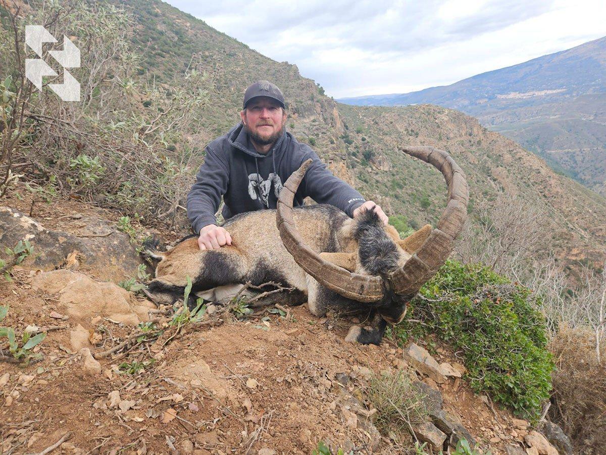 Spain: ibex, chamois, deer, birds