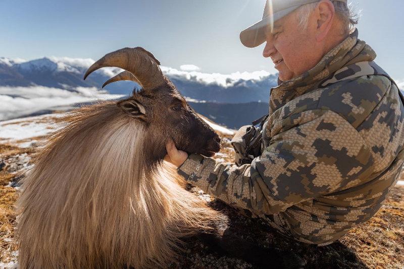 🇺🇸 I can’t get enough of this beautiful animal and the breathtaking mountains where they live!