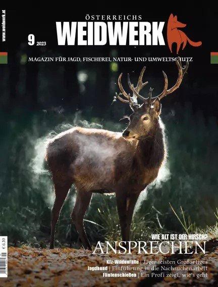 WEIDWERK