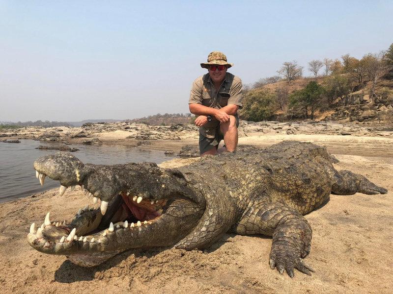 Some fantastic hippo and croc taken in lake Kariba Zimbabwe.