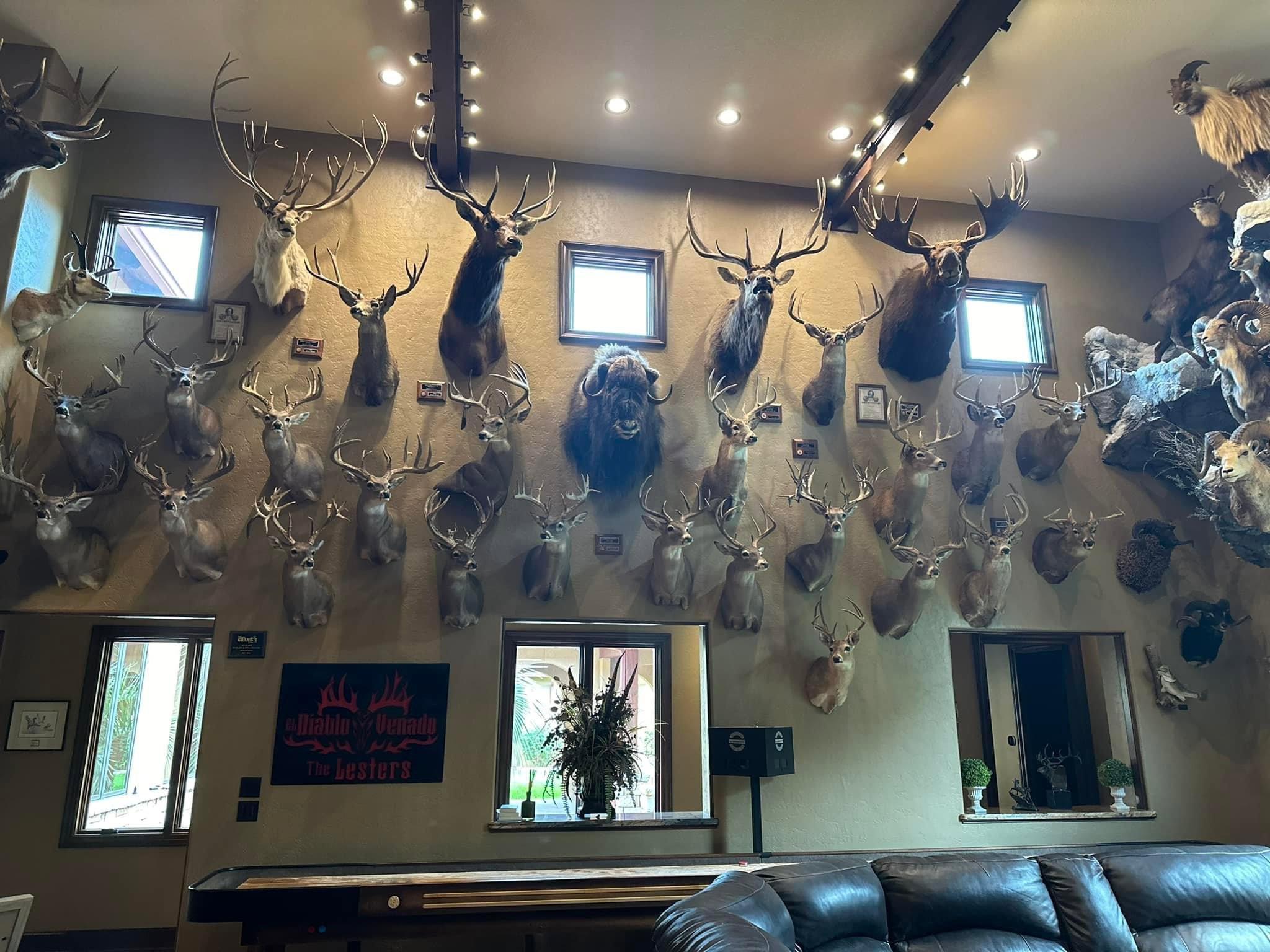New trophy room additions!!