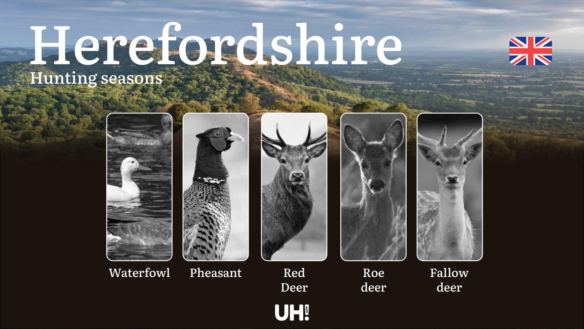 Herefordshire Hunting: Complete Season Dates, License Requirements, Wildlife Regulations & Prime Hunting Locations for Deer, Pheasant and Waterfowl