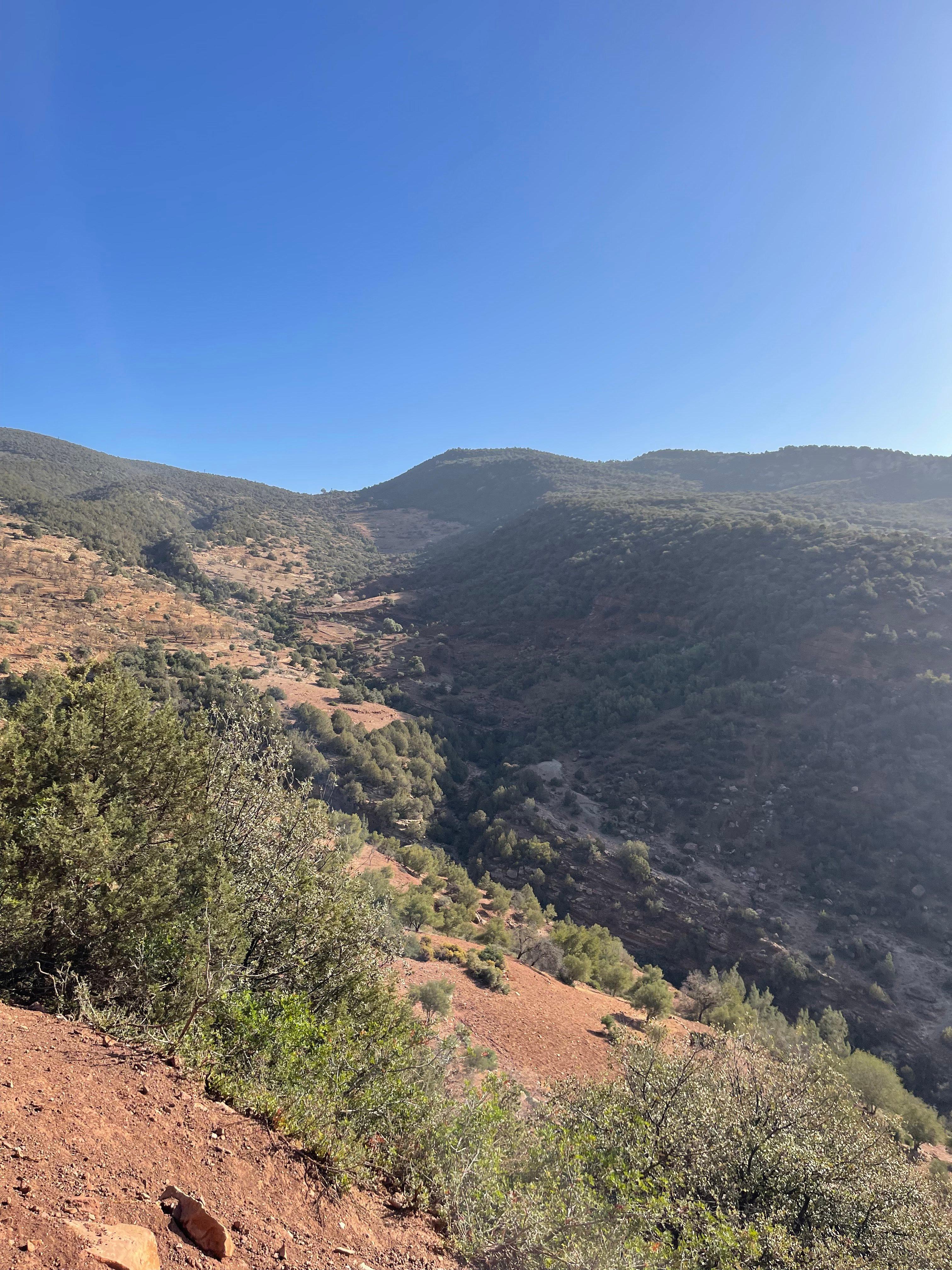 Ouverture de la saison de chasse 2025 à Béni Mellal-Khénifra : réglementation, biodiversité et développement durable