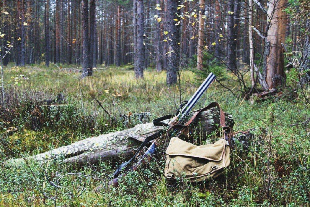 Охота в тайге