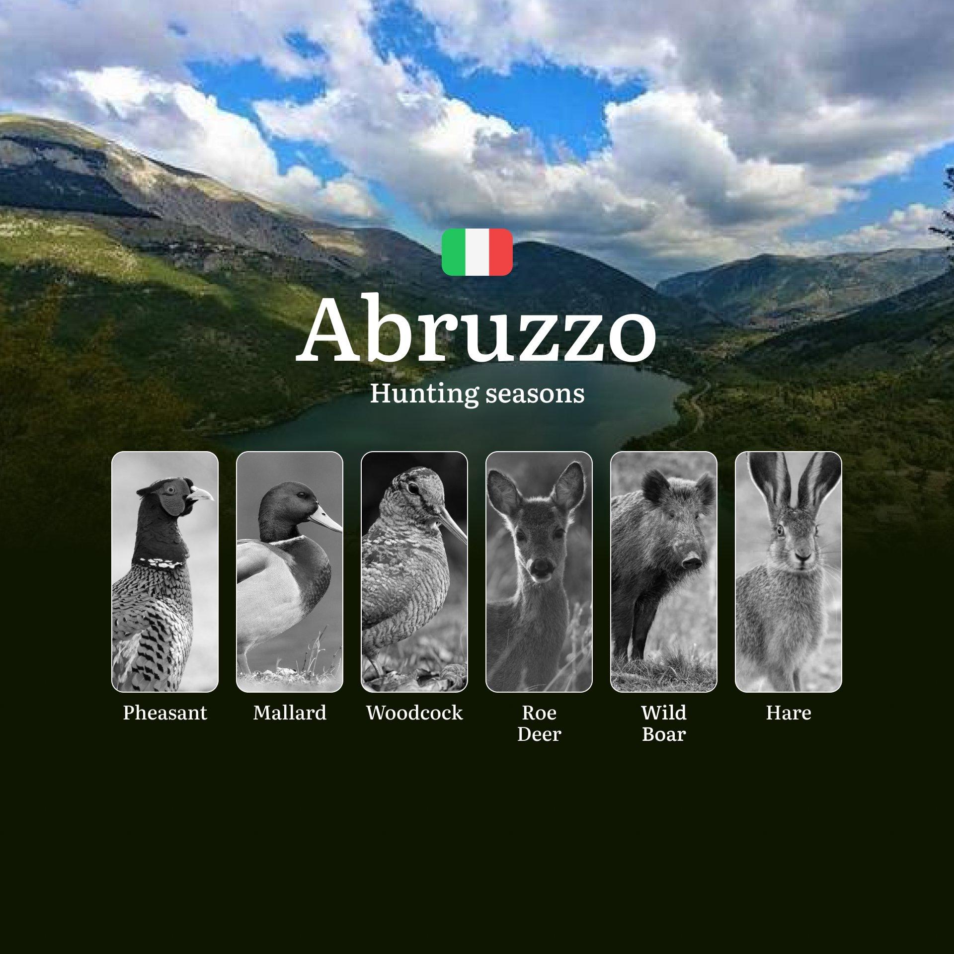 Abruzzo Hunting Seasons: Controlled Hunting Calendar in Europe's Wildest Apennine Terrain