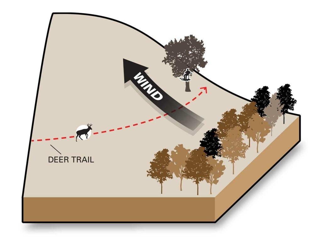 Tip of the Day: Always check the wind direction before setting up your stand.