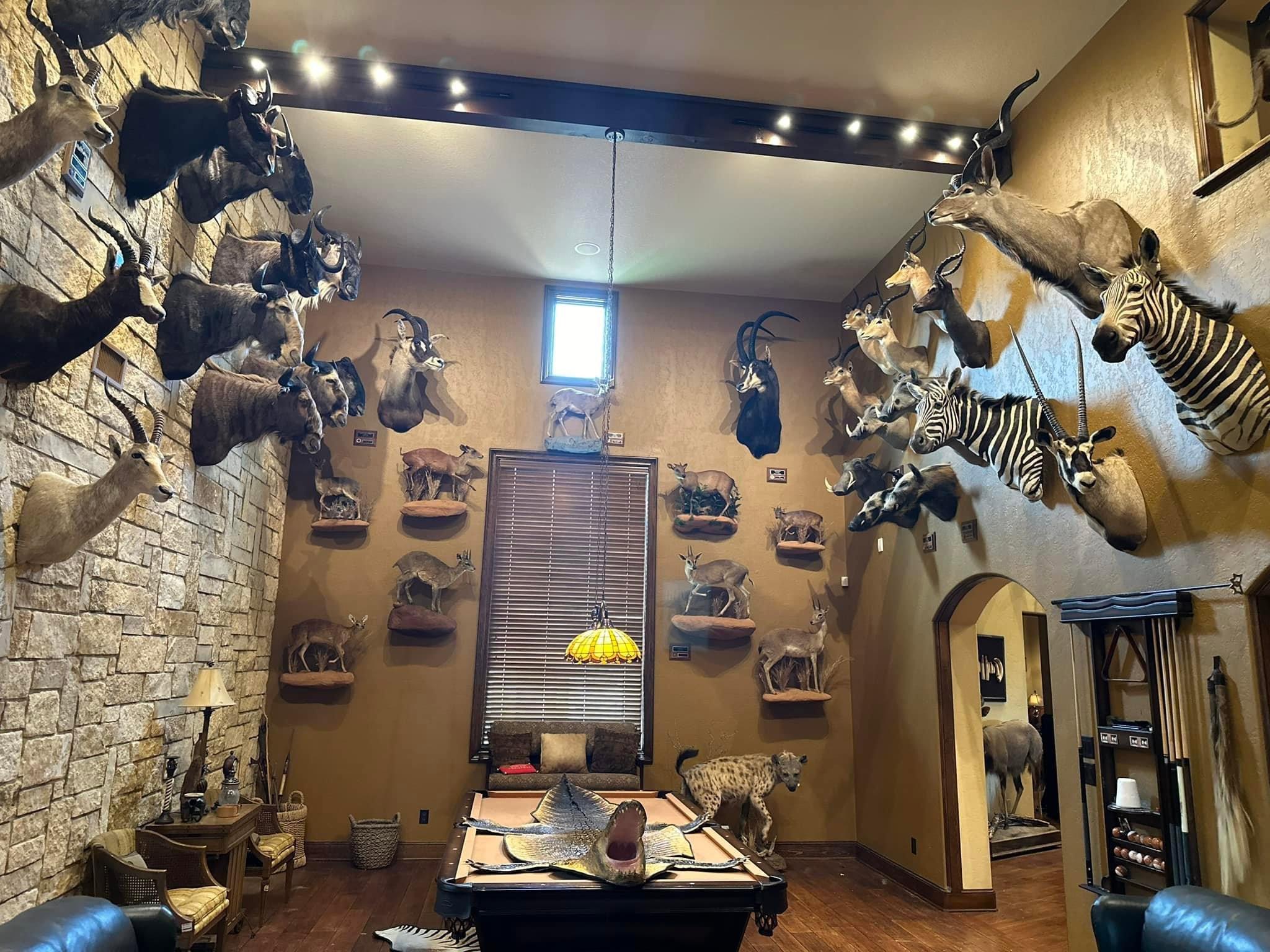 New trophy room additions!!