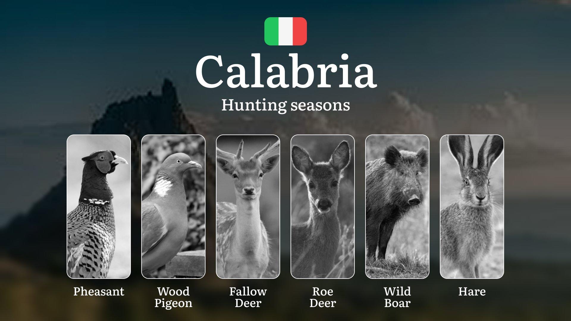 Calabria Hunting Seasons: Rare Winter Permits in the Sila and Aspromonte National Parks, Tips and Secrets