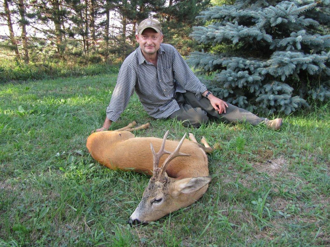 Roebuck hunted in Hungary near the lake Balaton