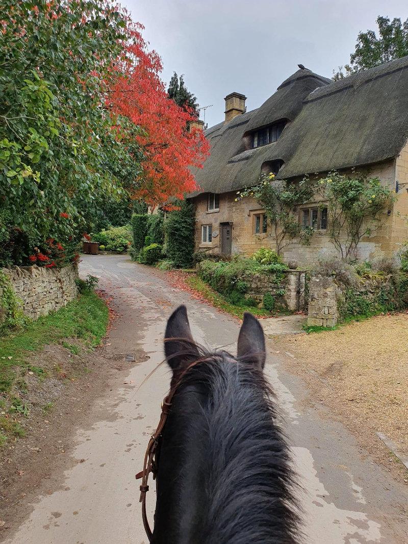 My favourite time of the year.