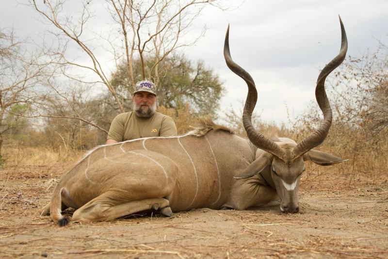 An incredible Western Kudu taken last week in Chad.