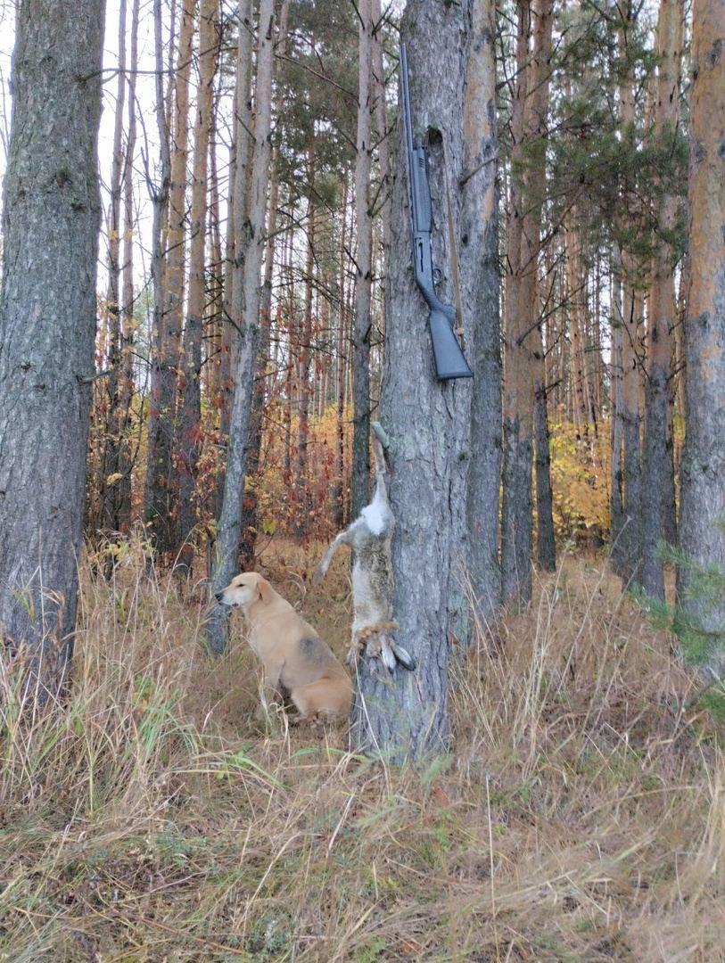 Tere, kõik ohtliku jahipidamise sõbrad!