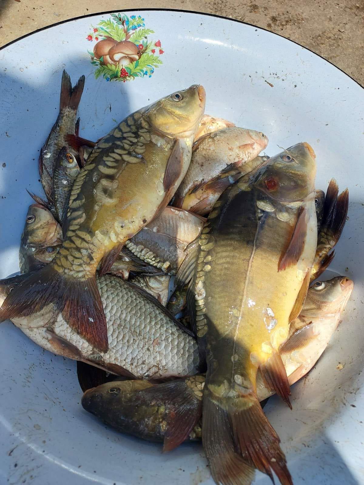 Got a little fishing in today