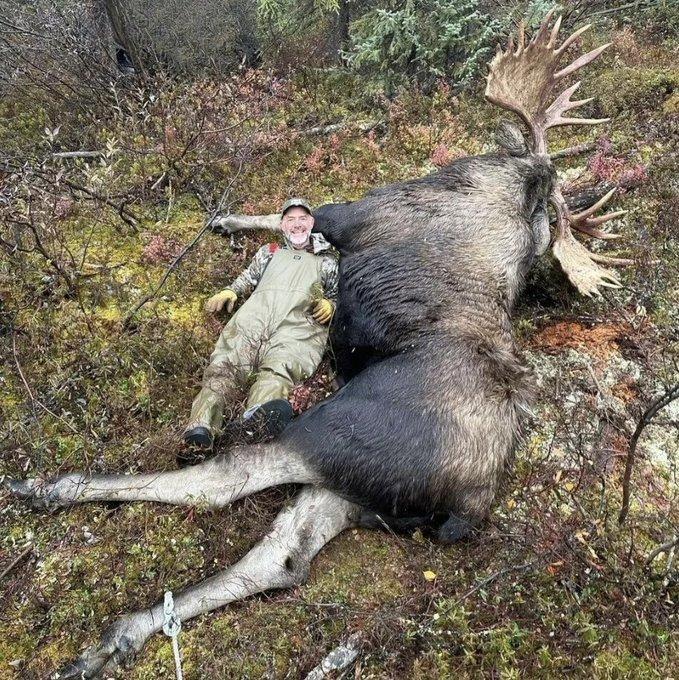 "How big is a Moose?" - @huntinglover_life 
