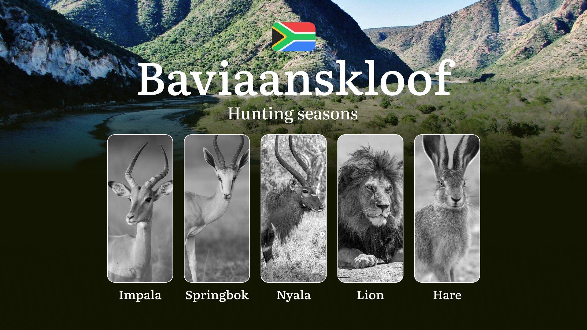 Hunting Dates in South Africa, Baviaanskloof Region: Hunting Periods and Timing, Licenses, and Hunting License 