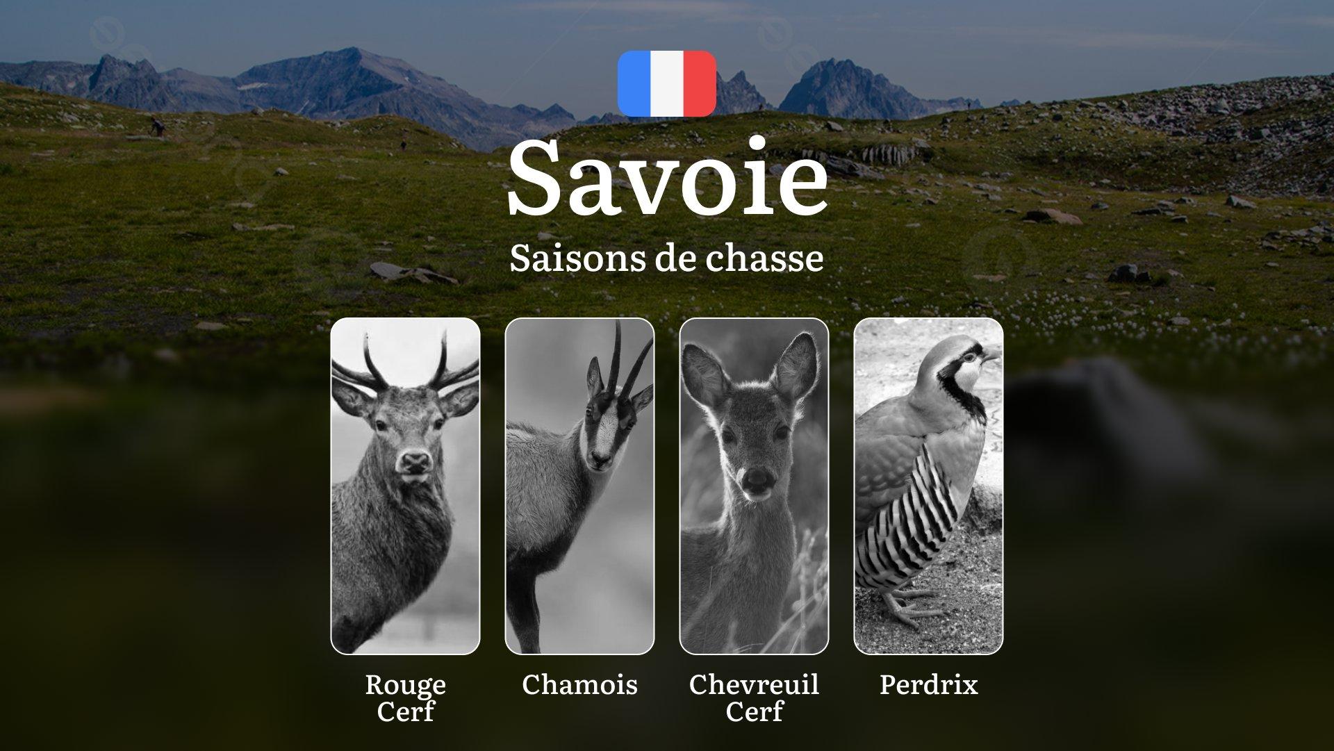 Saisons de chasse en SAVOIE: Restrictions à Connaître, Spécificités Saisonnières, Dates et Règles de Chasse, Risques en Cas de Non-Respect des Règles