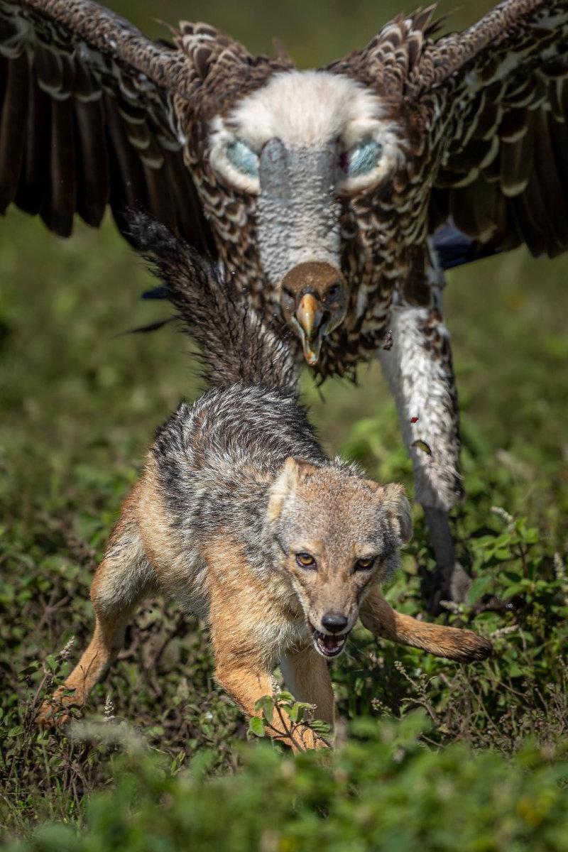 'Almost is not eaten.' African Proverb