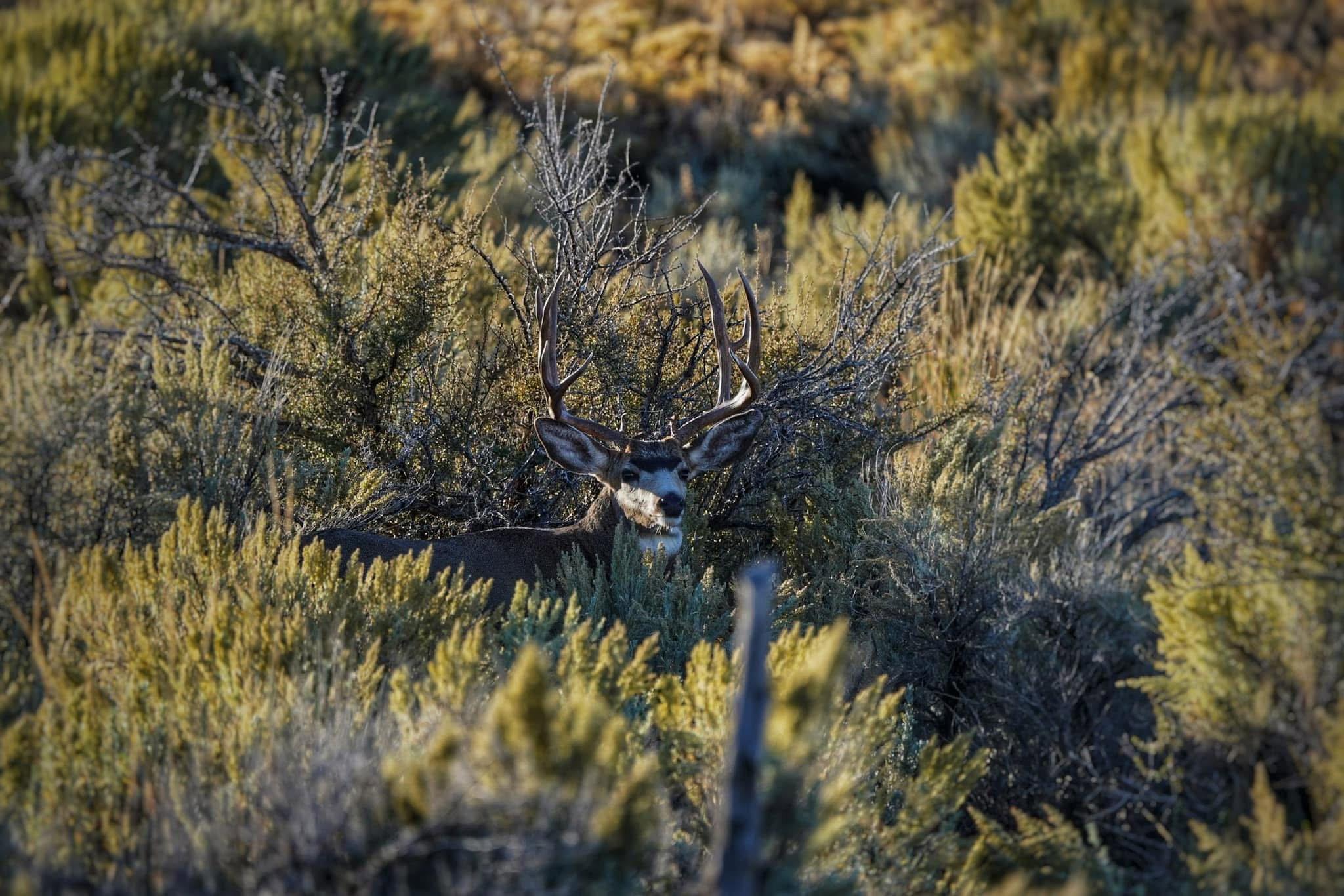 Here’s a couple of my favorite shots!