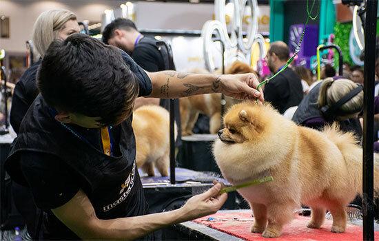 Pet South America 2025: August 13–15, 2025, Anhembi Exhibition Center, São Paulo, Brazil -  Hunting, Fishing, Outdoor Gear & Sporting Innovation