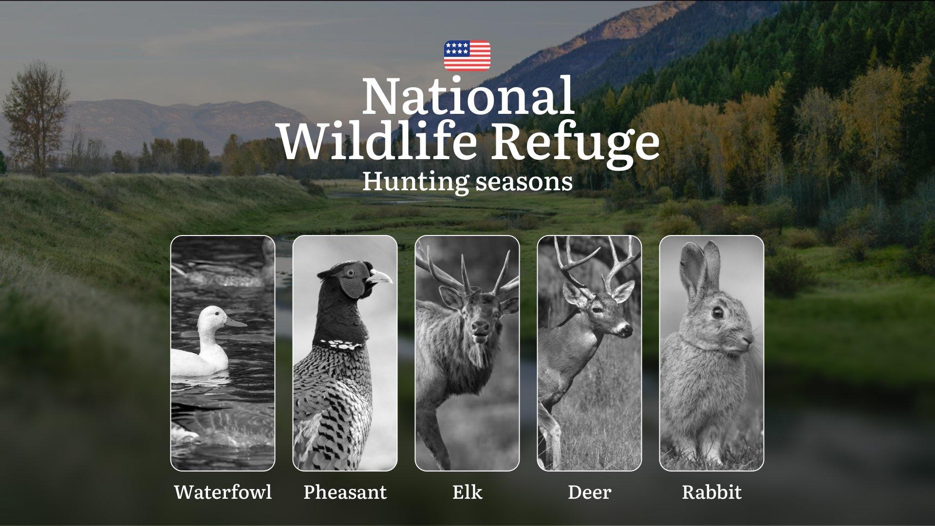 Seasons of Hunting in National Wildlife Refuge: Rules, Dates of Hunting and Features for Hunters in the USA