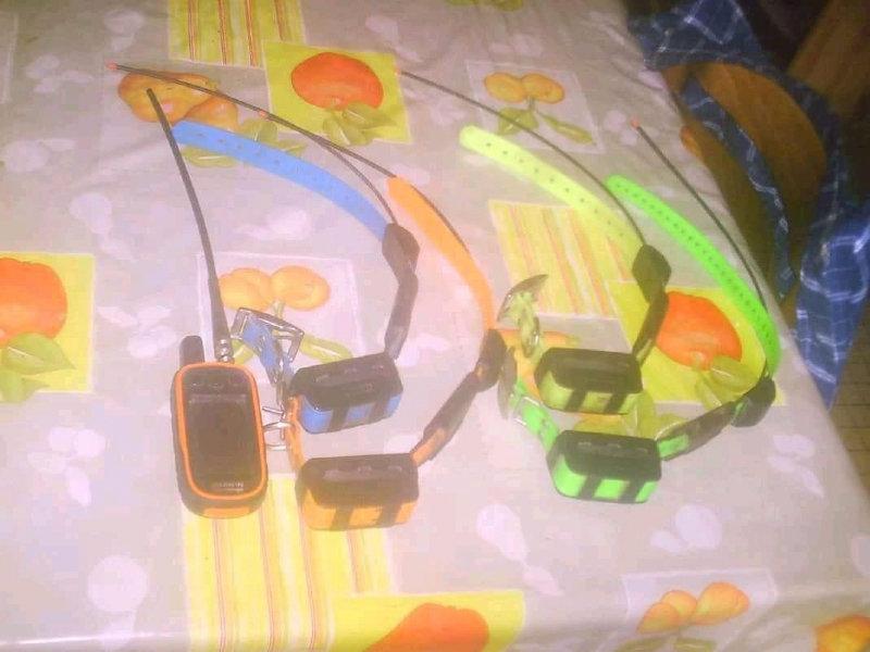 Verkaufe meine Lose GARMIN ALPHA 100 MIT 4 TT15 HALSBAND.