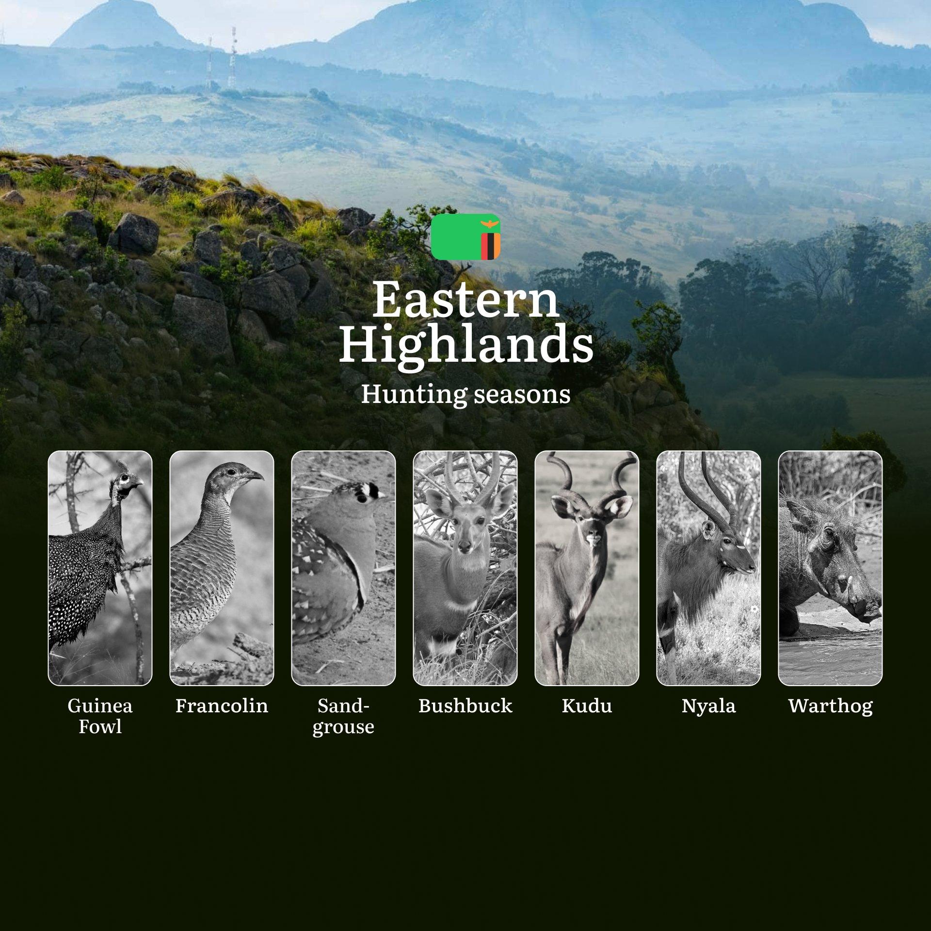 Mists & Magnums: The Eastern Highlands Hunting Calendar – Where Seasons, Species & Sustainability Collide