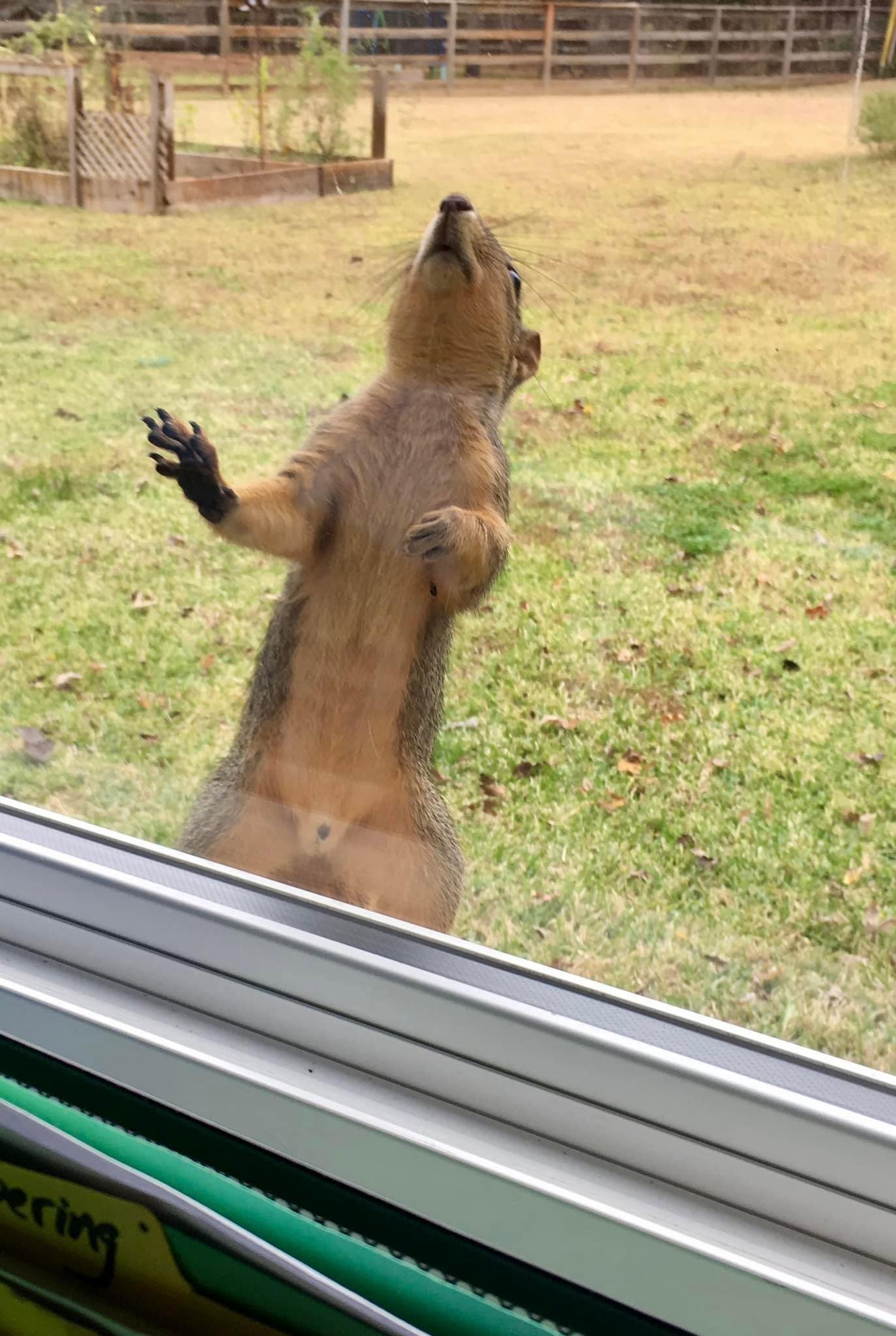 Hey, have you seen my nuts?