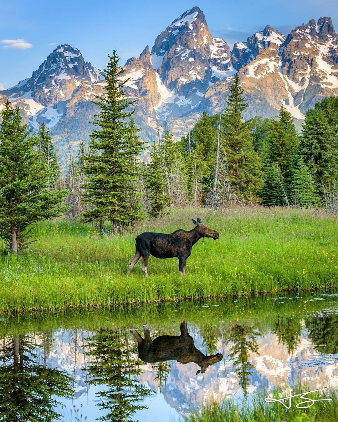Grand Teton National Park In Wyoming, USA
