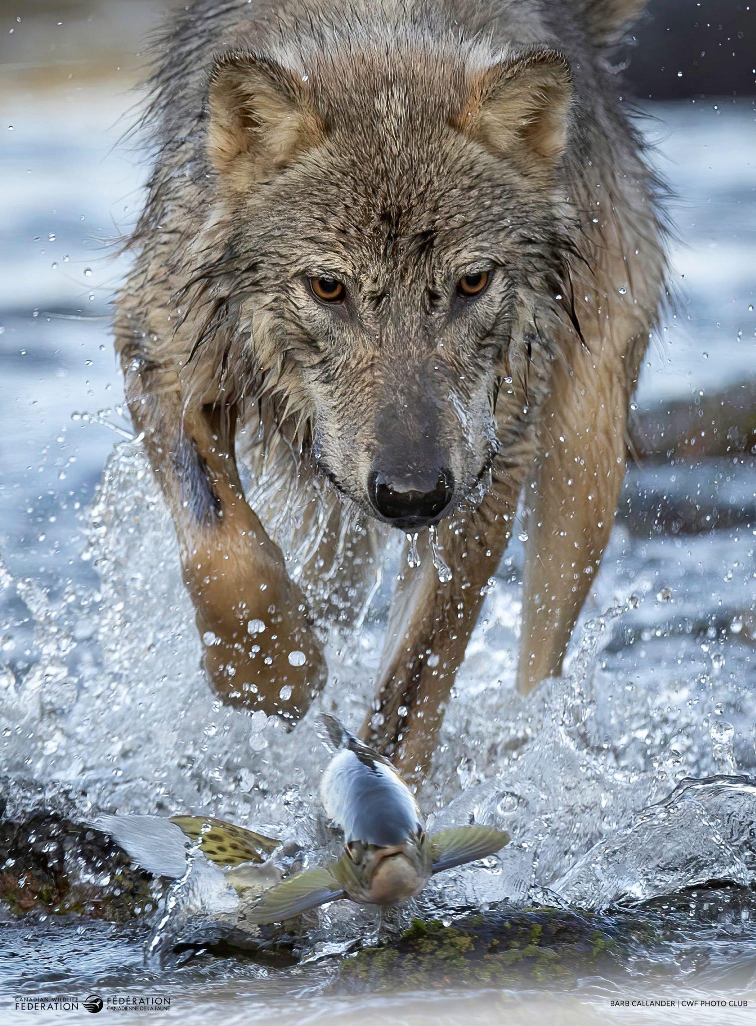 Winners of the 2024 Reflections of Nature Photo Contest.