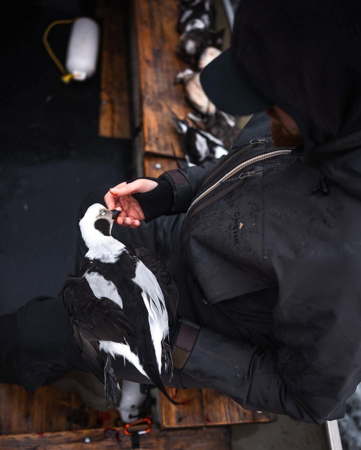 On the windswept waters of Lake Michigan, hunting sea ducks and Old Squaw (long-tailed ducks) has been a test of grit for generations.