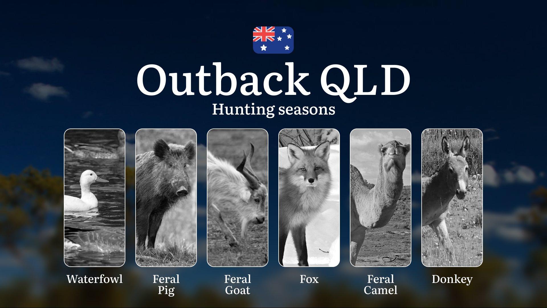 Outback Queensland's Hunting Calendar: When the Red Earth Yields Its Bounty - Seasons, Strategies and Remote Pursuits