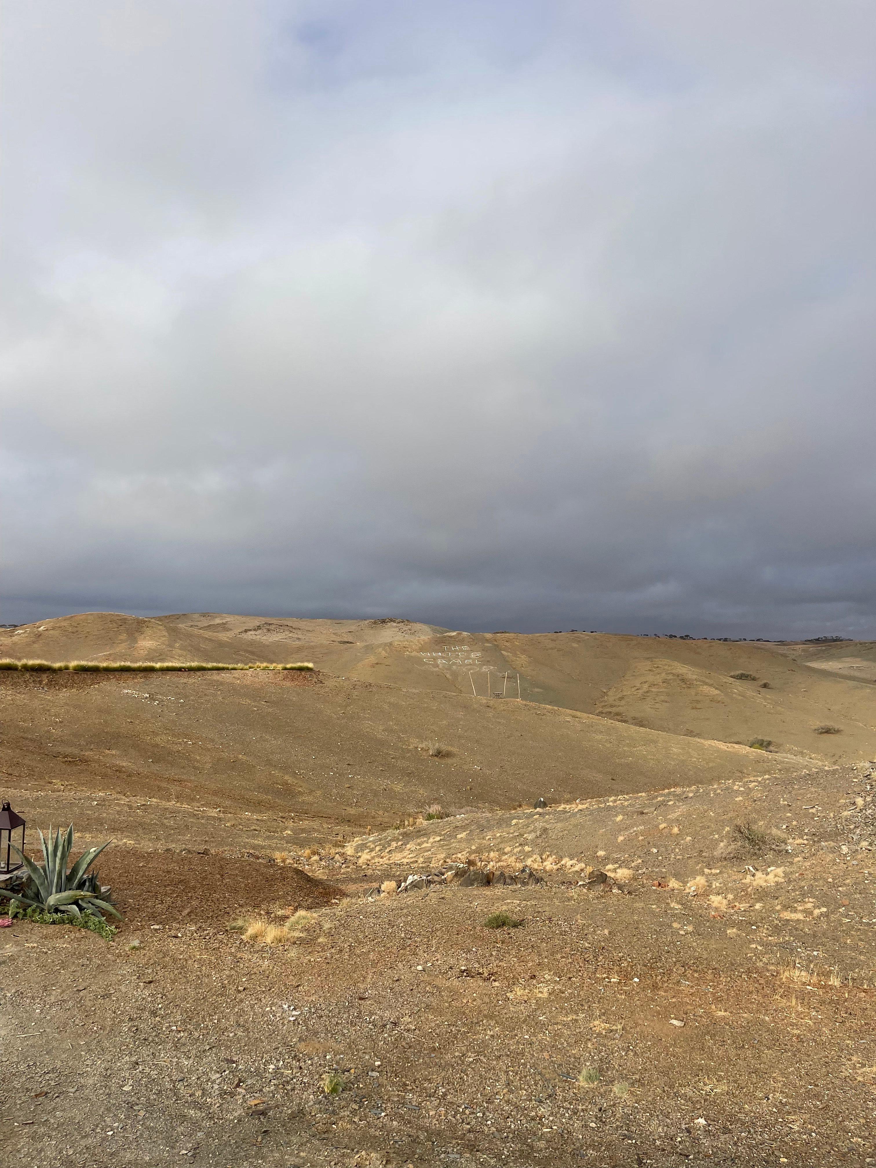 Morocco Migratory Bird Hunting 2025: Best Seasons, Locations, Species & Regulations