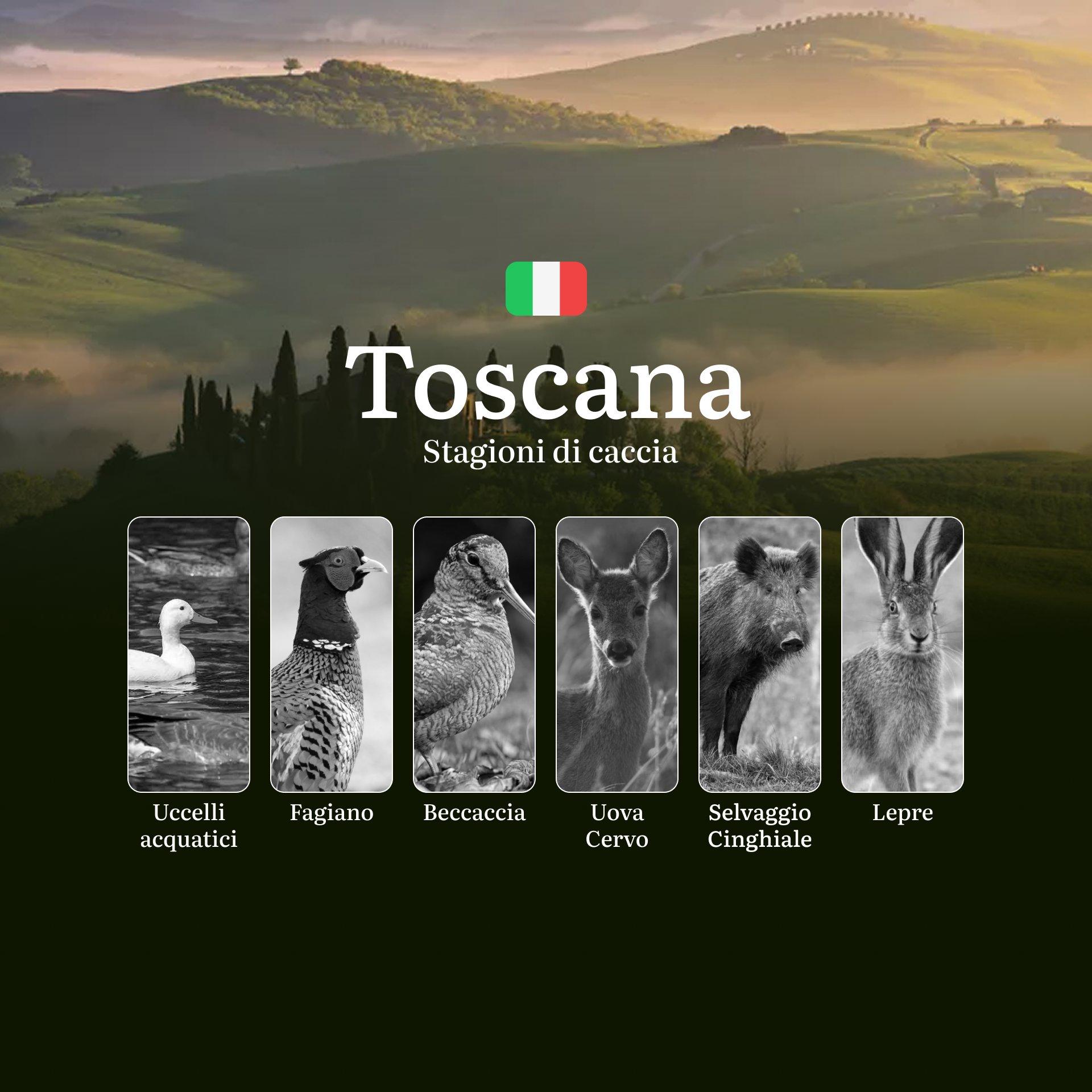 Caccia in Toscana: Stagioni, Licenze, Regolamenti e Consigli per una Pratica Sostenibile