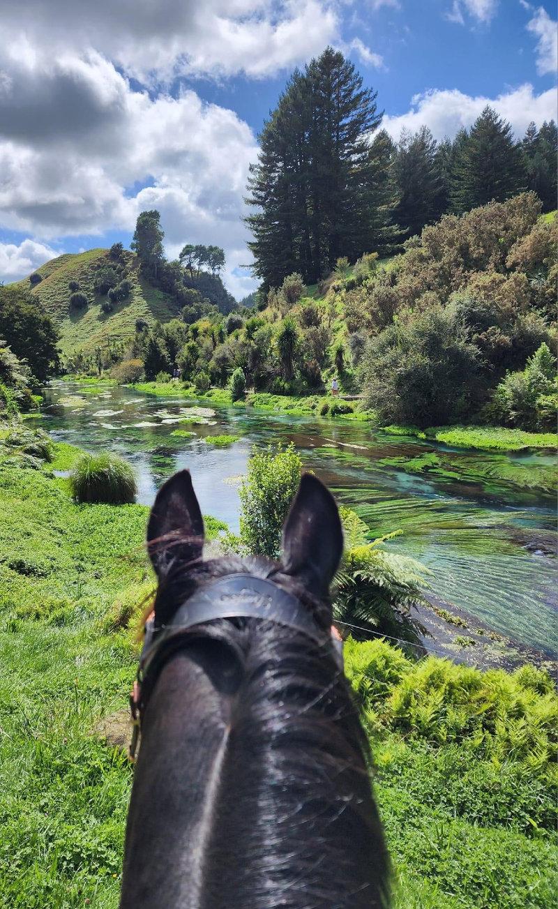 Blue springs, Putaruru, New Zealand