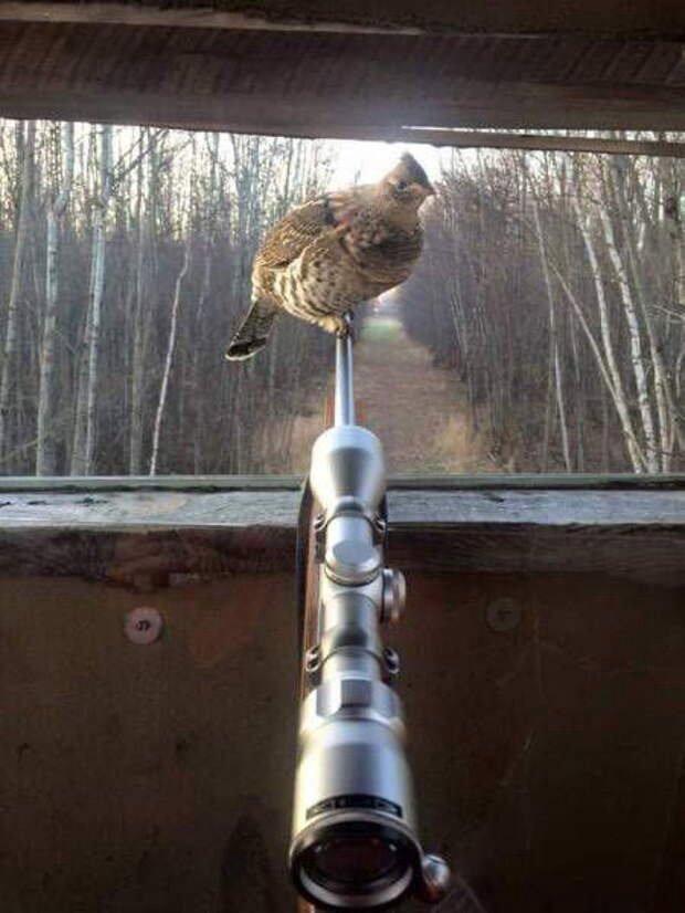 🤣
