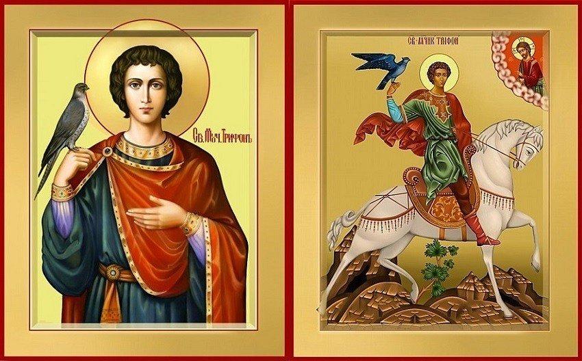 Today, 14 February, in Orthodox calendar is the day of the Holy Tryphon, especially revered in Russia.